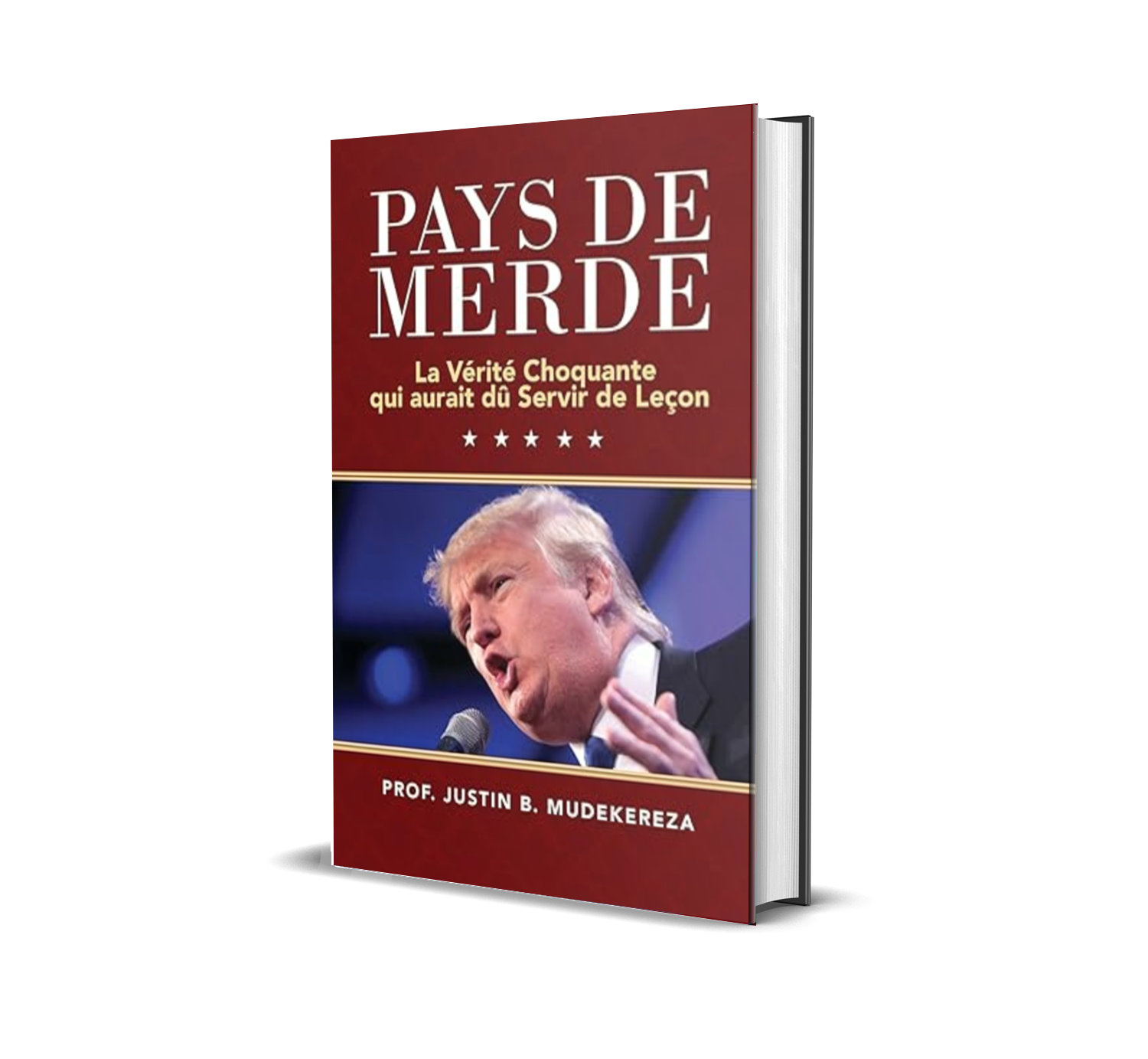 Pays de Merde (French Edition)